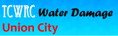 Water Damage Union City